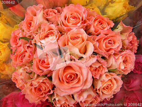 Image of Roses bouquet