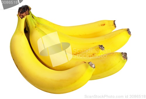 Image of Bunch of bananas