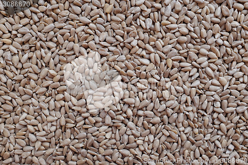 Image of Hulled sunflower seed hearts 