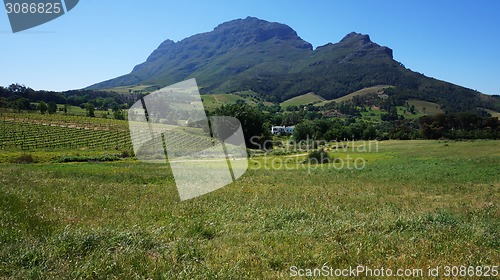 Image of Mountains in Stellenbosch wine region, outside of Cape Town, Sou