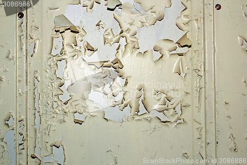 Image of parched paint on old door