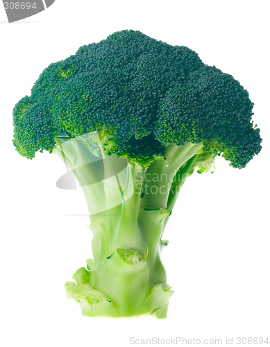 Image of Broccoli

