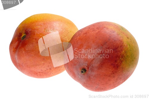 Image of Tropical fruit - Mango


