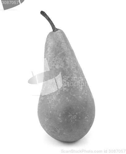 Image of Green Conference pear standing upright