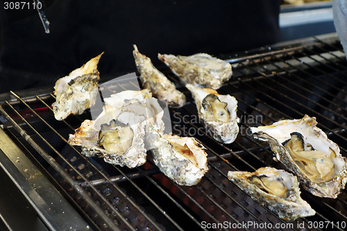 Image of Grilled oysters at Miyajima island , Japan