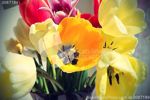 Image of Bouquet of colorful spring tulips