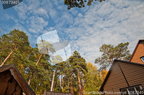 Image of House at forest