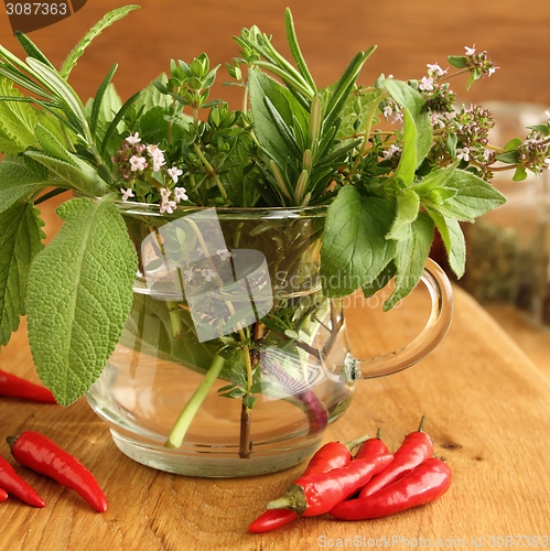 Image of Aromatic herbs