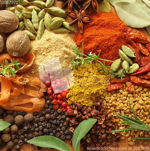 Image of Spices and herbs