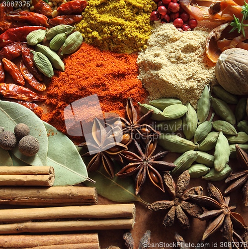 Image of Spices and herbs