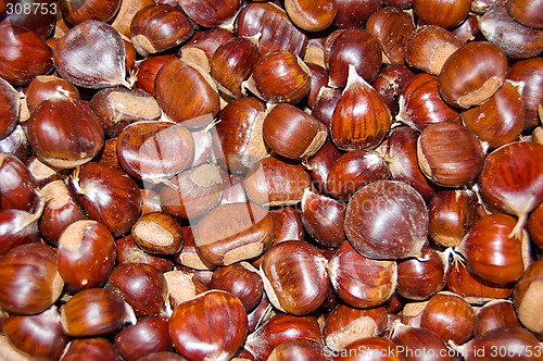 Image of Chestnuts