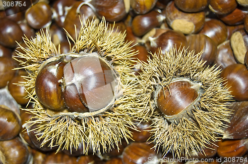 Image of Chestnuts