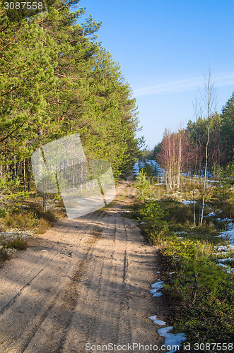 Image of Spring landscape with forest road
