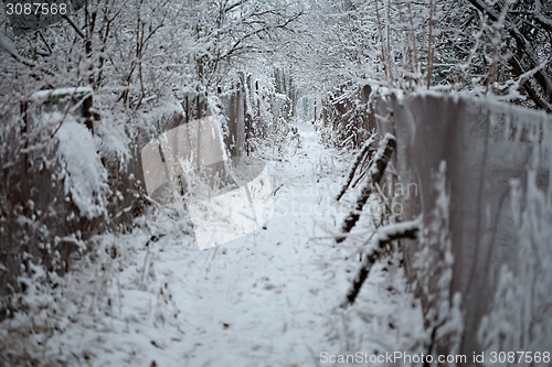 Image of winter path way