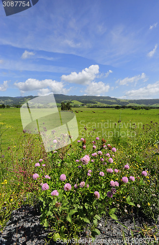 Image of Rose Valley, Kiama Australia