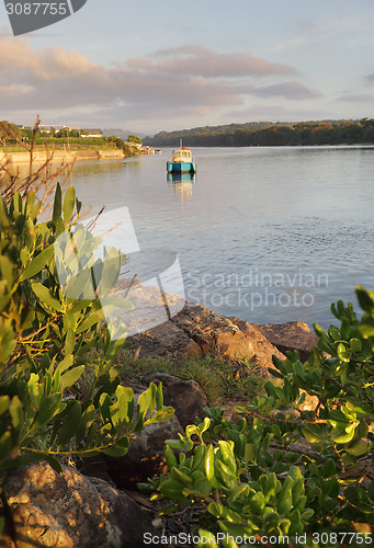 Image of Early morning on the Minamurra River