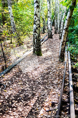 Image of Schoeneberger Suedgelaende Nature Park