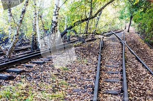 Image of Schoeneberger Suedgelaende Nature Park