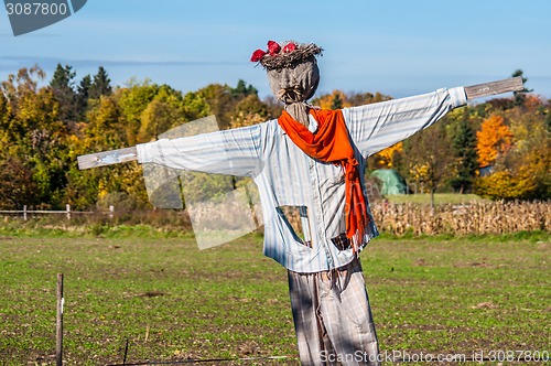 Image of Scarecrow