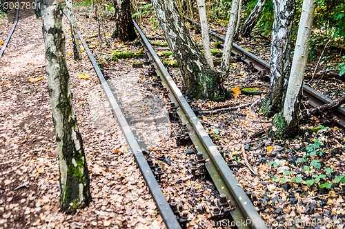 Image of Schoeneberger Suedgelaende Nature Park