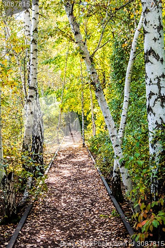 Image of Schoeneberger Suedgelaende Nature Park