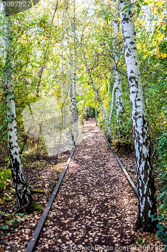 Image of Schoeneberger Suedgelaende Nature Park