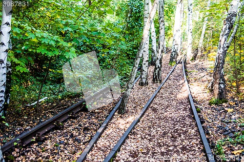 Image of Schoeneberger Suedgelaende Nature Park