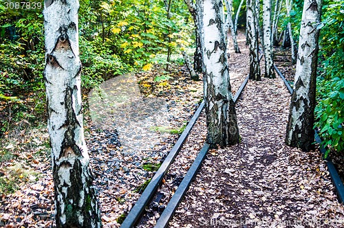 Image of Schoeneberger Suedgelaende Nature Park
