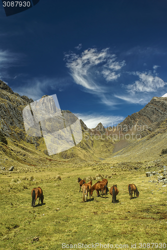 Image of Peruvian Andes