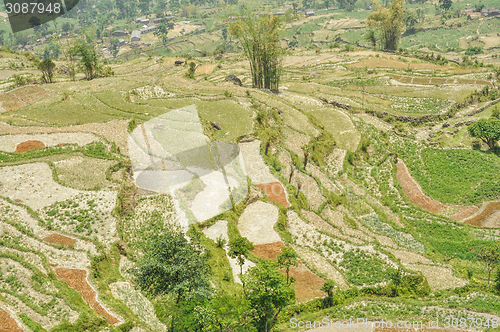 Image of Terraced fields