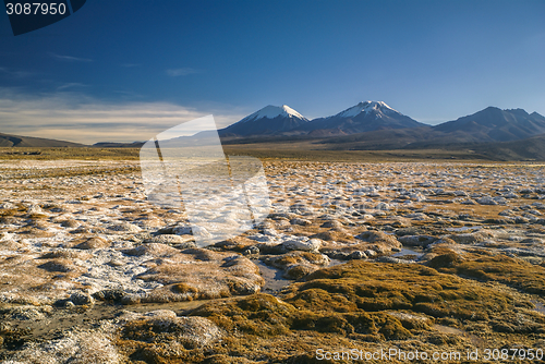 Image of Sajama