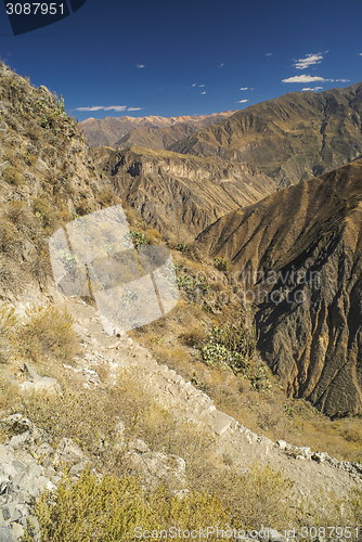 Image of Canon del Colca