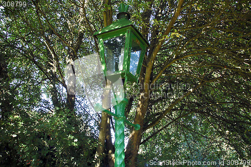 Image of Leafy Lamplight