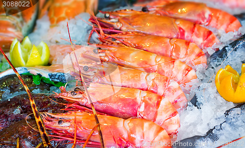 Image of Large Mediterranean prawns and other seafood.