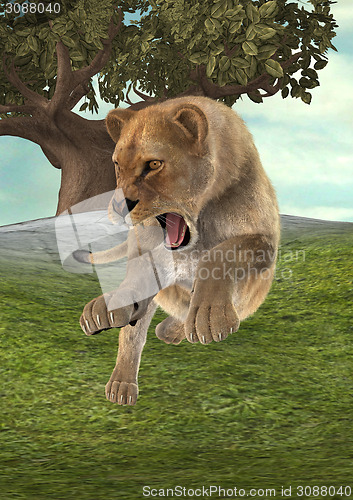 Image of Hunting Lioness