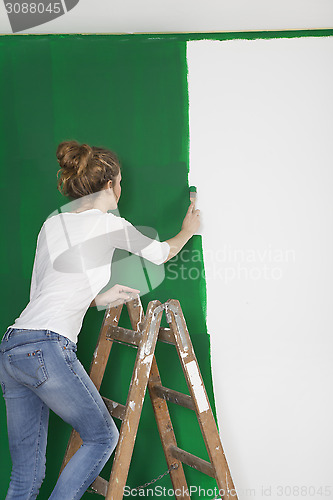 Image of Woman with brush on ladder