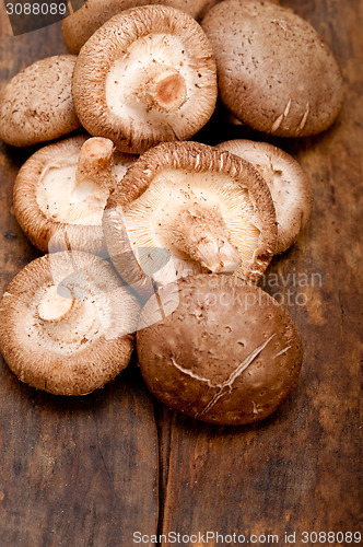 Image of shiitake mushrooms