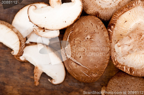 Image of shiitake mushrooms