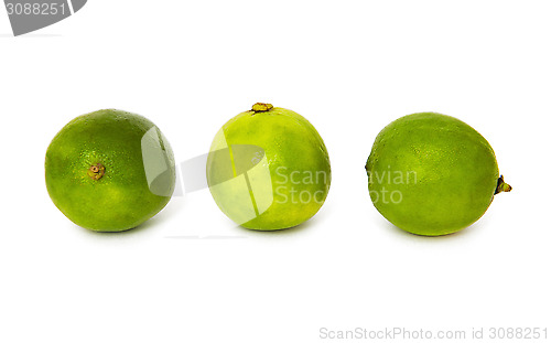 Image of Limes 