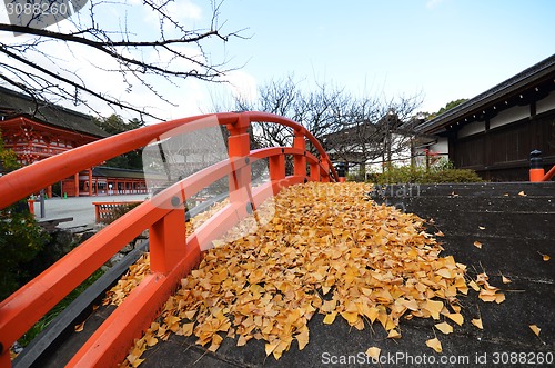 Image of Yellow leaves on the bridge in Shimogamo-jinja Shrine Kyoto 