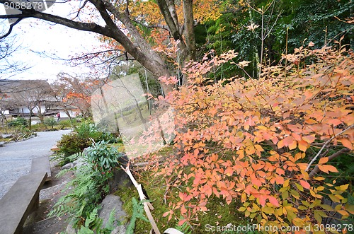 Image of Tenryu-ji in Kyoto, Japan