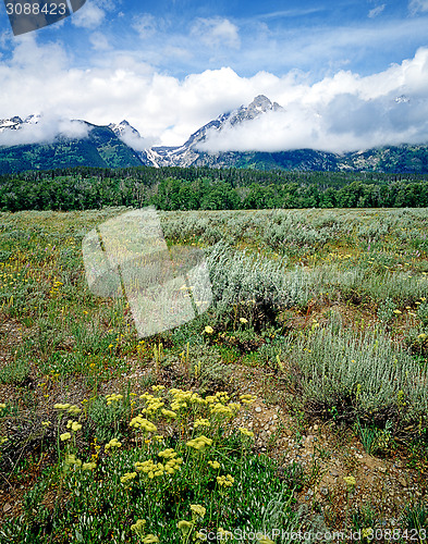 Image of Grand Teton