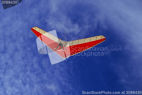 Image of Glider