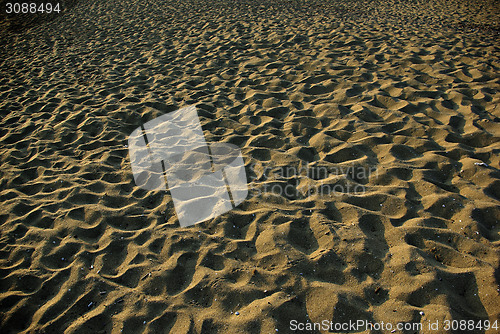 Image of Sandy