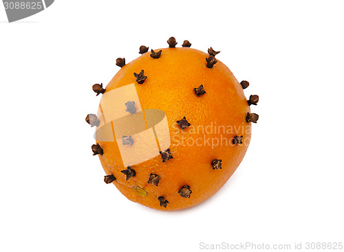 Image of Orange studded cloves