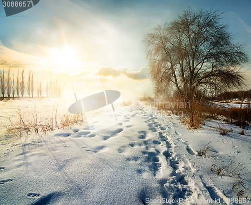 Image of Winter in countryside