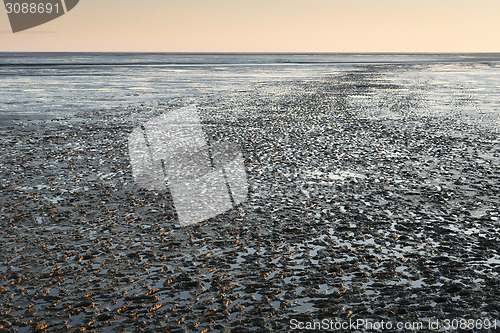 Image of mudflat landscape at sunset