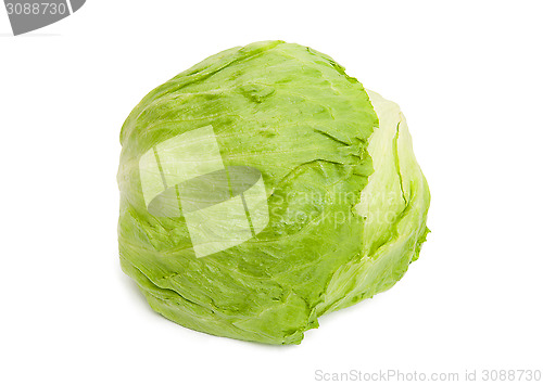 Image of Lettuce