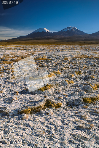 Image of Sajama