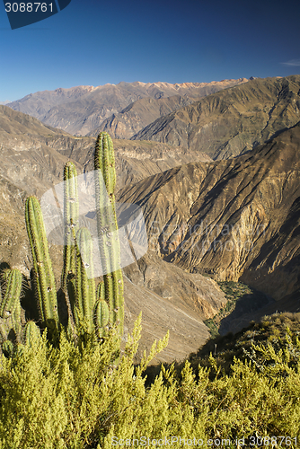 Image of Canon del Colca